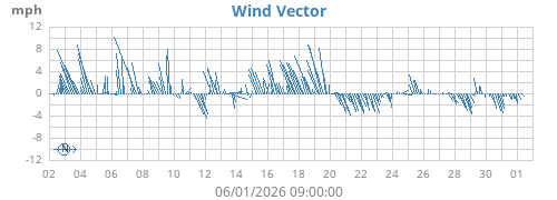 Wind Vector
